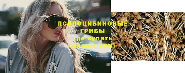 СК Беломорск