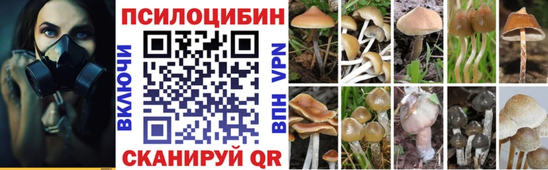Галлюциногенные грибы Magic Shrooms  хочу наркоту  мега сайт  Шарыпово 